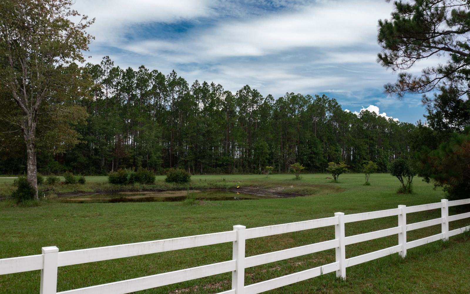 Property view 32